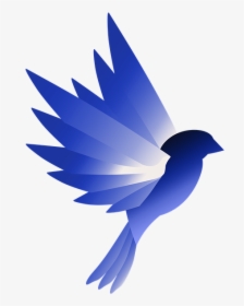 Logo, Bird, Blue, Design, Wing, Animal - Swallow, HD Png Download, Free Download