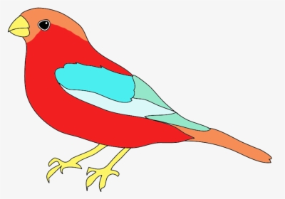 Bird In Many Colors - Birds Image For Colour, HD Png Download, Free Download
