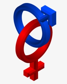Male/female Symbols - Blue Male And Red Female, HD Png Download, Free Download