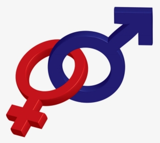 Gender And Development Png, Transparent Png, Free Download