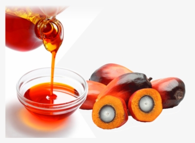 Home/vegetable Oils/rdb Palm Oil - Palm Oil Png, Transparent Png, Free Download