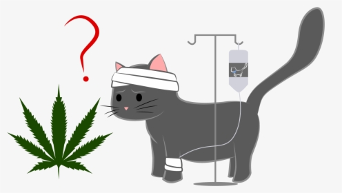 Can Medical Marijuana Help Your Cat Cope With Cancer - Cat With Cancer Cartoon, HD Png Download, Free Download