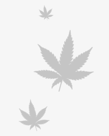 Transparent Real Weed Leaf Png - Marijuana Leaf, Png Download, Free Download