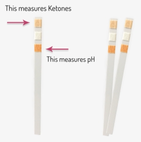 Keto-ph Urine Test Strips - Keto Ph Chart, HD Png Download, Free Download