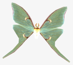 Lunamoth - Transparent Luna Moth Png, Png Download, Free Download