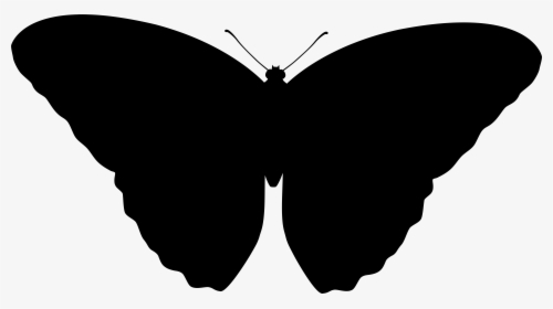 Brush-footed Butterflies Font Silhouette M - Siluetas Png Mariposas, Transparent Png, Free Download