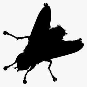 Moths And Butterflies Clipart , Png Download - House Fly Silhouette, Transparent Png, Free Download