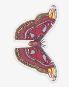 Atlasmothnew419, HD Png Download, Free Download