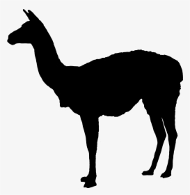 Lama-guanicoe Silhouette - Doe Deer Silhouette, HD Png Download, Free Download