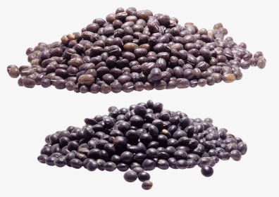 Kidney Beans Png - Bead, Transparent Png, Free Download