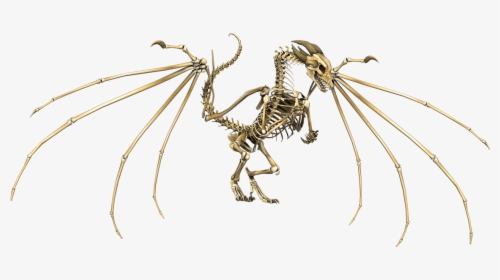Dragon Skeleton - Skeleton Dragon Dnd 5e, HD Png Download, Free Download