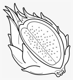 Dragon Fruit Carving Pictures Pitaya Clipart Black - Dragon Fruit Black And White Clipart, HD Png Download, Free Download