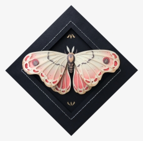 Moth, HD Png Download, Free Download