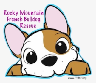 Rocky Mountain French Bulldog Rescue - French Bulldog, HD Png Download, Free Download