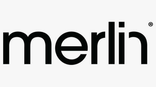 Merlin International - Merlin Cyber, HD Png Download, Free Download