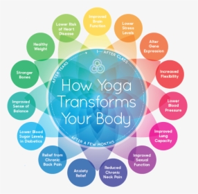 Yoga Transforms Your Body, HD Png Download, Free Download