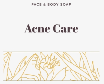 Acne, HD Png Download, Free Download