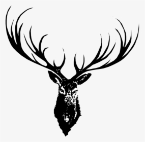 Hand Drawn Deer Png, Transparent Png, Free Download