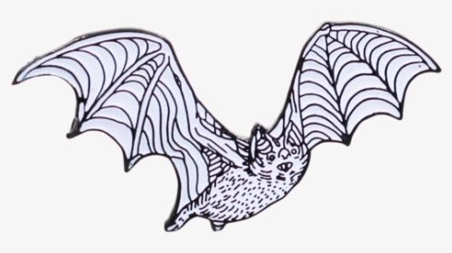 Derpy Bat Pin - Illustration, HD Png Download, Free Download