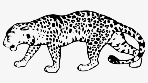 Black And White Leopard Clip Art, HD Png Download, Free Download
