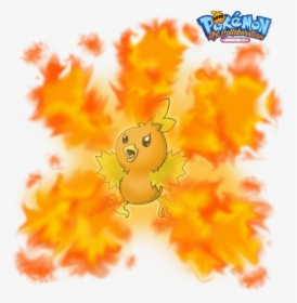 #255 Torchic Used Flame Burst And Ember In Our Pokemon - Cartoon, HD Png Download, Free Download