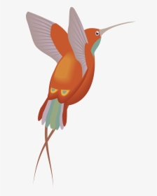 Red Orange Hummingbird, HD Png Download, Free Download