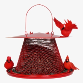 No/no Cardinal Red Bird Feeder, Metal, - Best Feeder For Cardinals And Bluejays, HD Png Download, Free Download