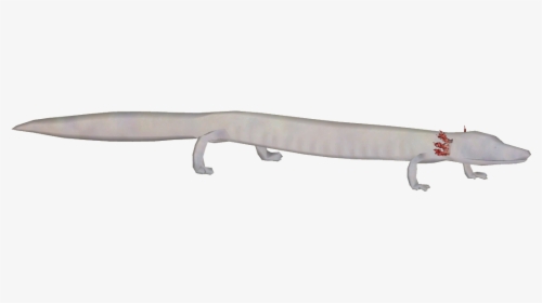 Texas Blind Salamander - Blade, HD Png Download, Free Download