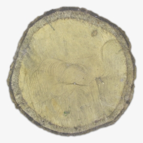 Lumber, HD Png Download, Free Download