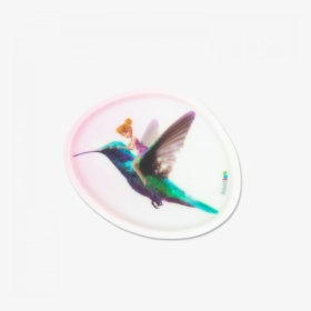 Ruby-throated Hummingbird, HD Png Download, Free Download