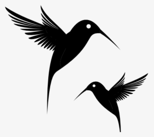 Transparent Feather Clipart Black And White - Flores Colibri Vector Png, Png Download, Free Download