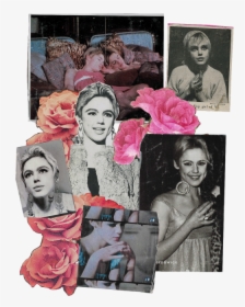 L O O P Y - Edie Sedgwick Collage, HD Png Download, Free Download