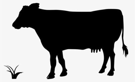 Cattle Branding Clipart Transparent Png , Png Download - Porco Png, Png Download, Free Download