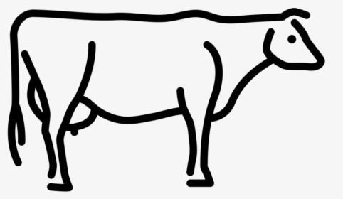 Noun Cow 591431 000000 - Portable Network Graphics, HD Png Download, Free Download