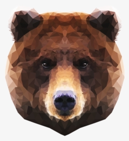 Thumb Image - Brown Polar Bear Face Png, Transparent Png, Free Download