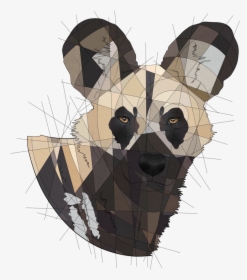 Continuing Drawing Some Of My Favorite Animals   redbubble society6  - Lycaon Pictus, HD Png Download, Free Download