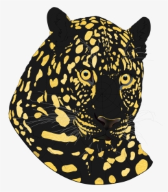 The Black And Gold Version Of The Leopard You Can Still - Tiger, HD Png Download, Free Download