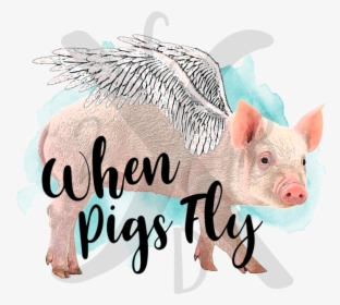 Pigs Png, Transparent Png, Free Download