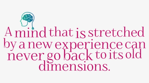 Experience Quotes Png Image Background - Lavender, Transparent Png, Free Download