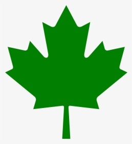 Green Maple Leaf Png - Canadian Red Maple Leaf, Transparent Png, Free Download