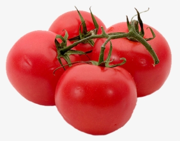 Thumb Image - Tomato, HD Png Download, Free Download