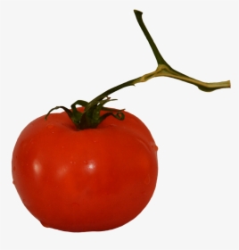 Tomato On Stem - Plum Tomato, HD Png Download, Free Download