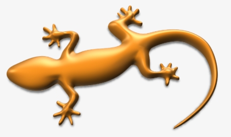 3d Design By Alberto Dec 19, - House Gecko, HD Png Download, Free Download