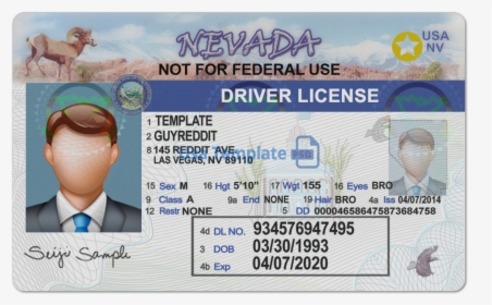 Nevada Driver License Template - Nevada Driver's License Scan, HD Png Download, Free Download