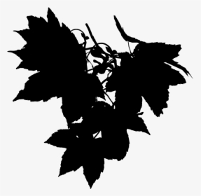 Grapevine Maple Leaf Silhouette Font - Hojas De Parra Png, Transparent Png, Free Download