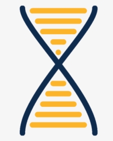 Dna, HD Png Download, Free Download