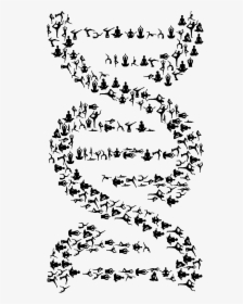 This Free Icons Png Design Of Yoga Dna Black , Png - Double Helix Dna Black And White, Transparent Png, Free Download