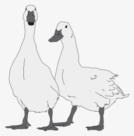 Geese Drawing , Png Download - Goose Tree Clipart Black And White, Transparent Png, Free Download