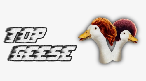 Transparent Geese Png, Png Download, Free Download