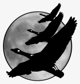 A History Of Getting Things Wrong - Geese Flying With Moon Clipart, HD Png Download, Free Download
